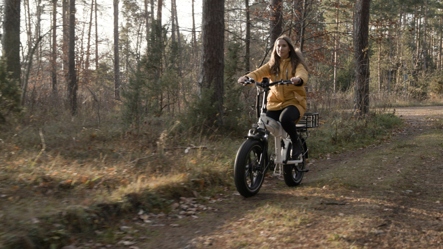 Rower Elektryczny Jobo E-bike EDDY Biały Fatbike